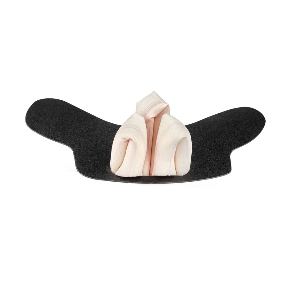 Equine GI Tract Model with Small Intestine