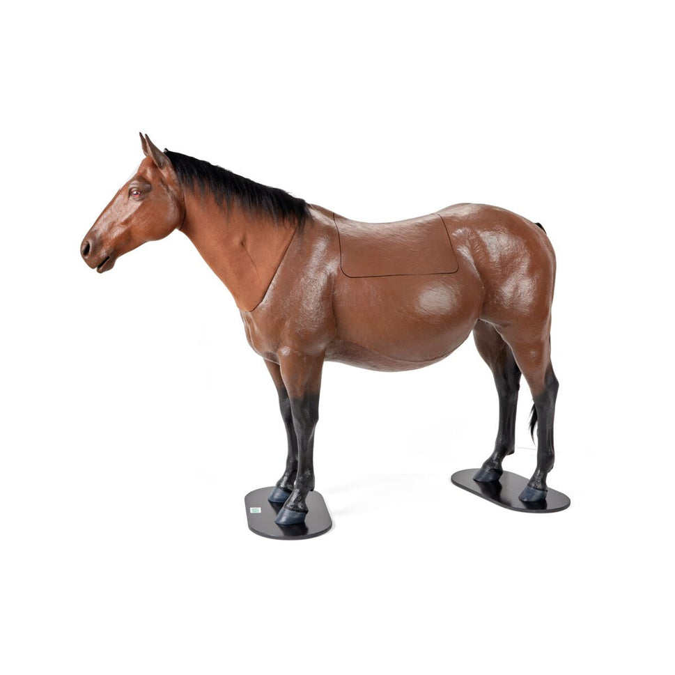 Equine Dystocia Simulator with Nasogastric Intubation & Venipuncture