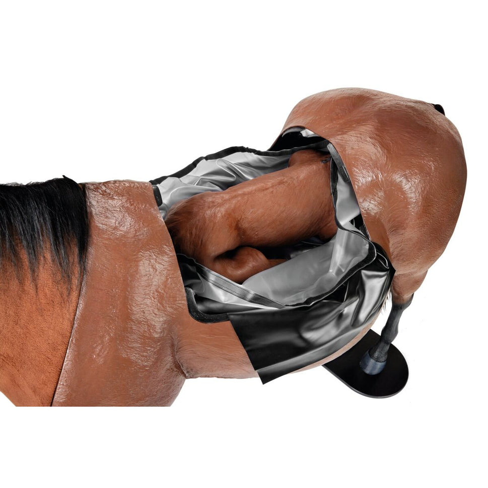 Equine Dystocia Simulator with Nasogastric Intubation & Venipuncture