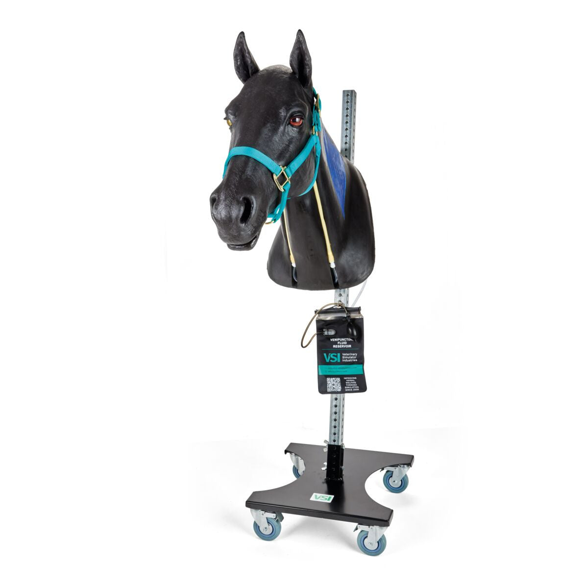 Equine Neck Venepuncture & Intramuscular Injection Trainer