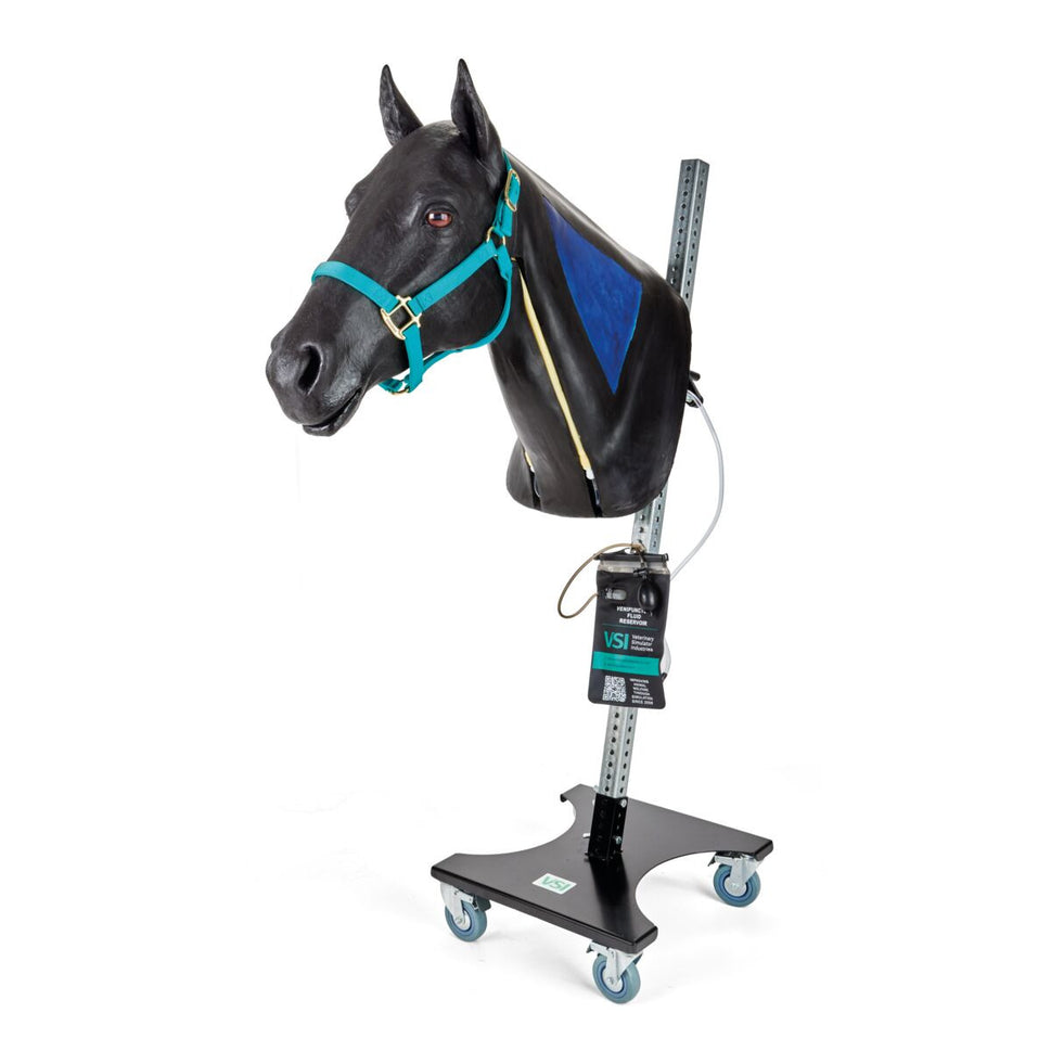 Equine Neck Venepuncture & Intramuscular Injection Trainer