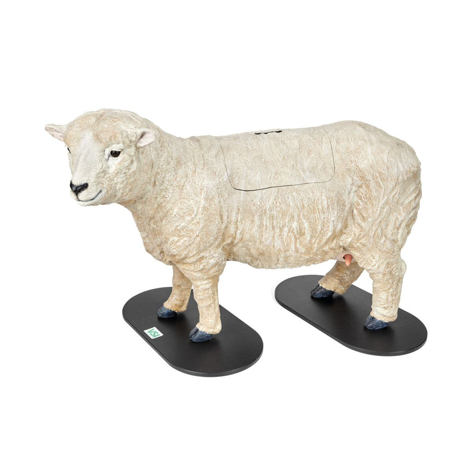 Southdown Dystocia Lamb Simulator With Single and Twins