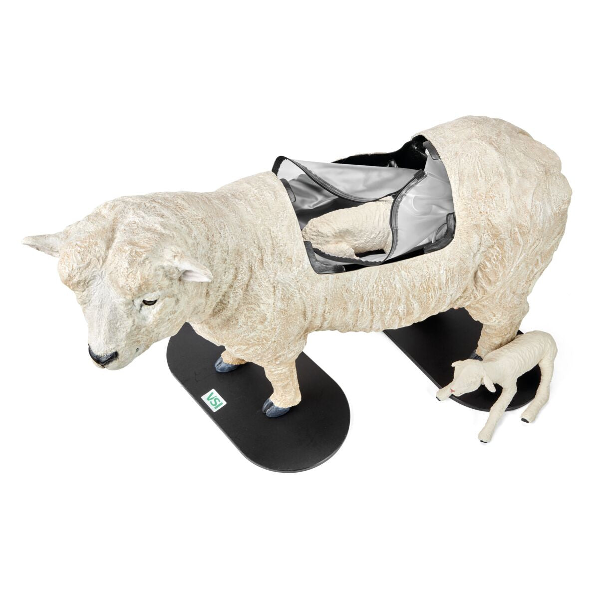 Southdown Dystocia Lamb Simulator With Single and Twins 1025616