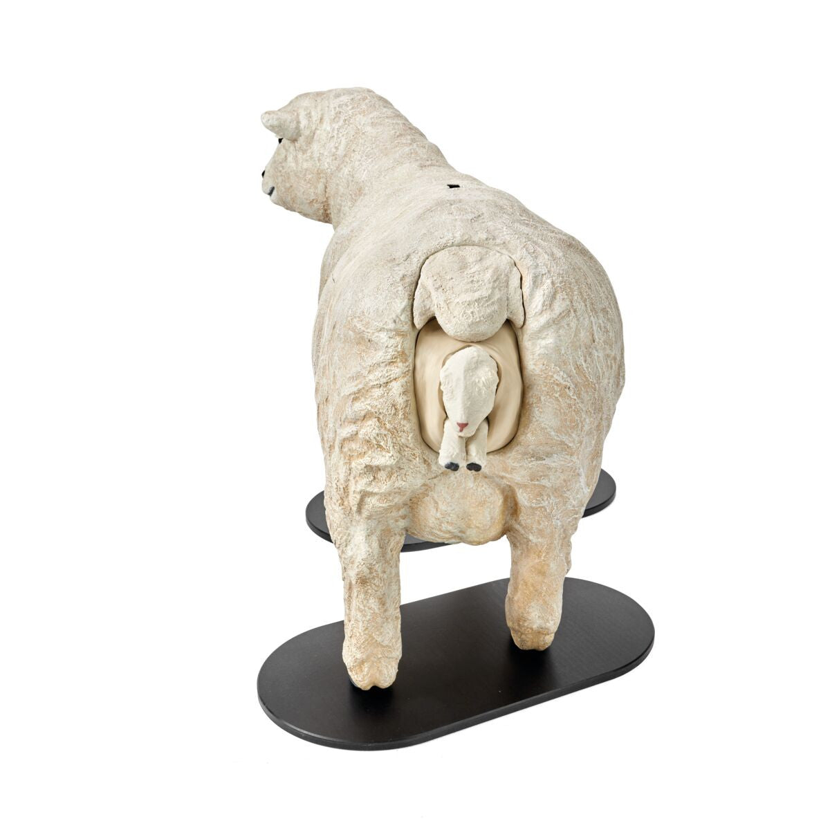 Southdown Dystocia Lamb Simulator With Single and Twins 1025616