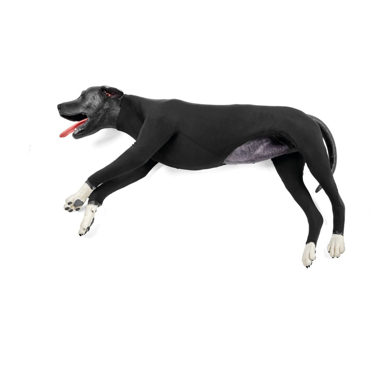 Canine Basic Life Support Simulator