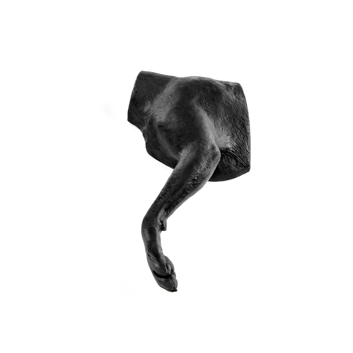 Canine Limb Bandaging Trainer