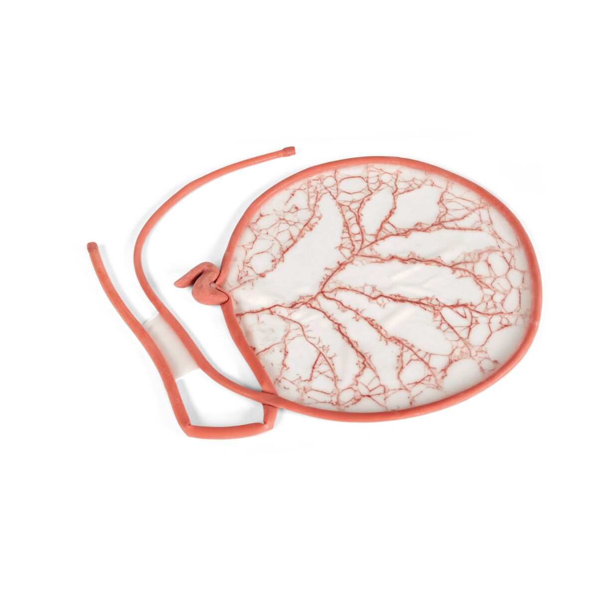 Canine GI Tract Replacement