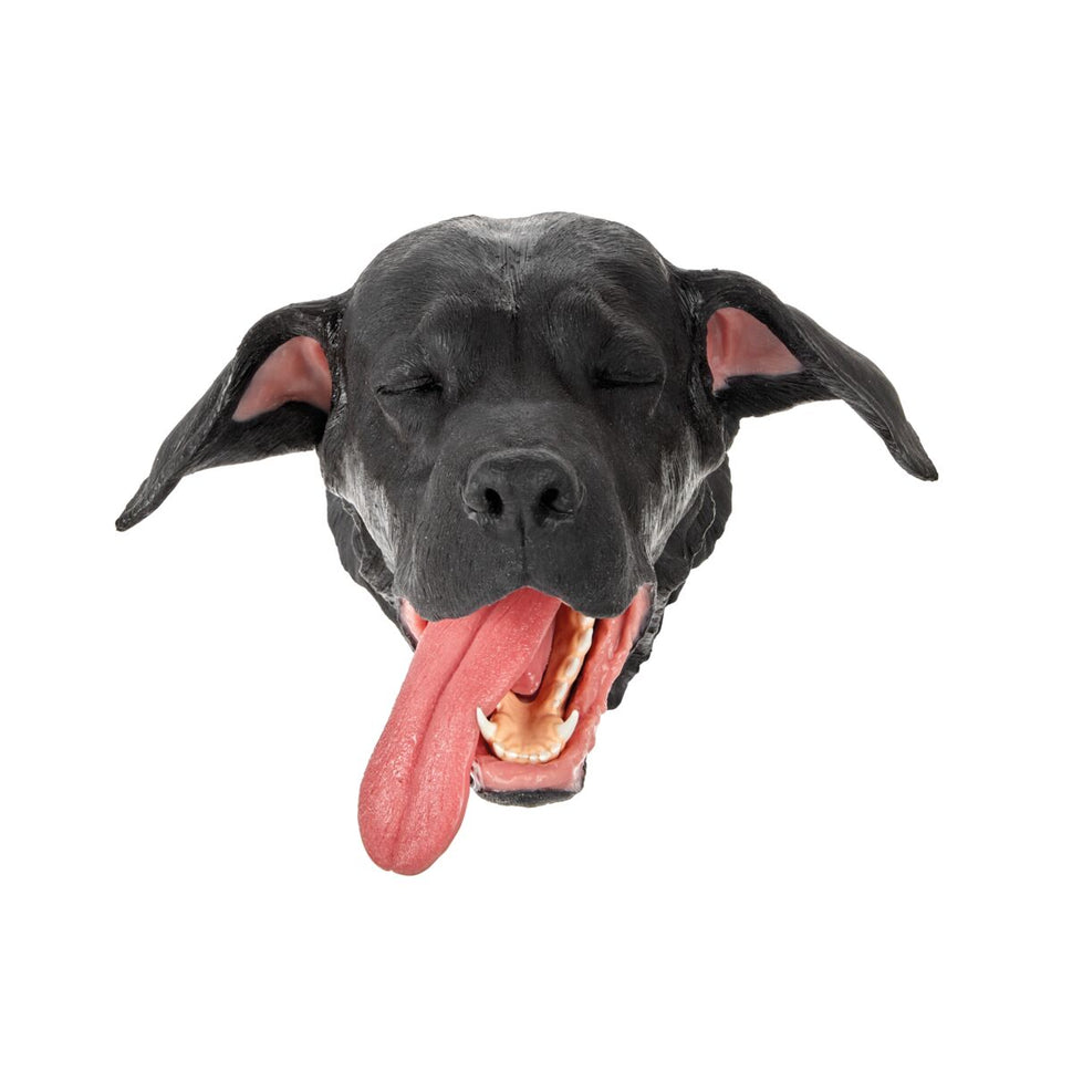 Replacement Dental Canine Head