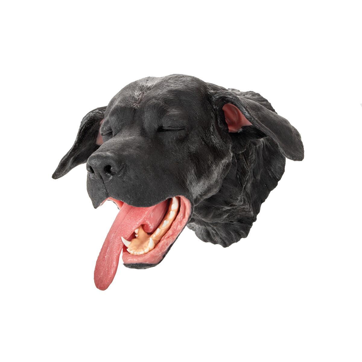 Replacement Dental Canine Head