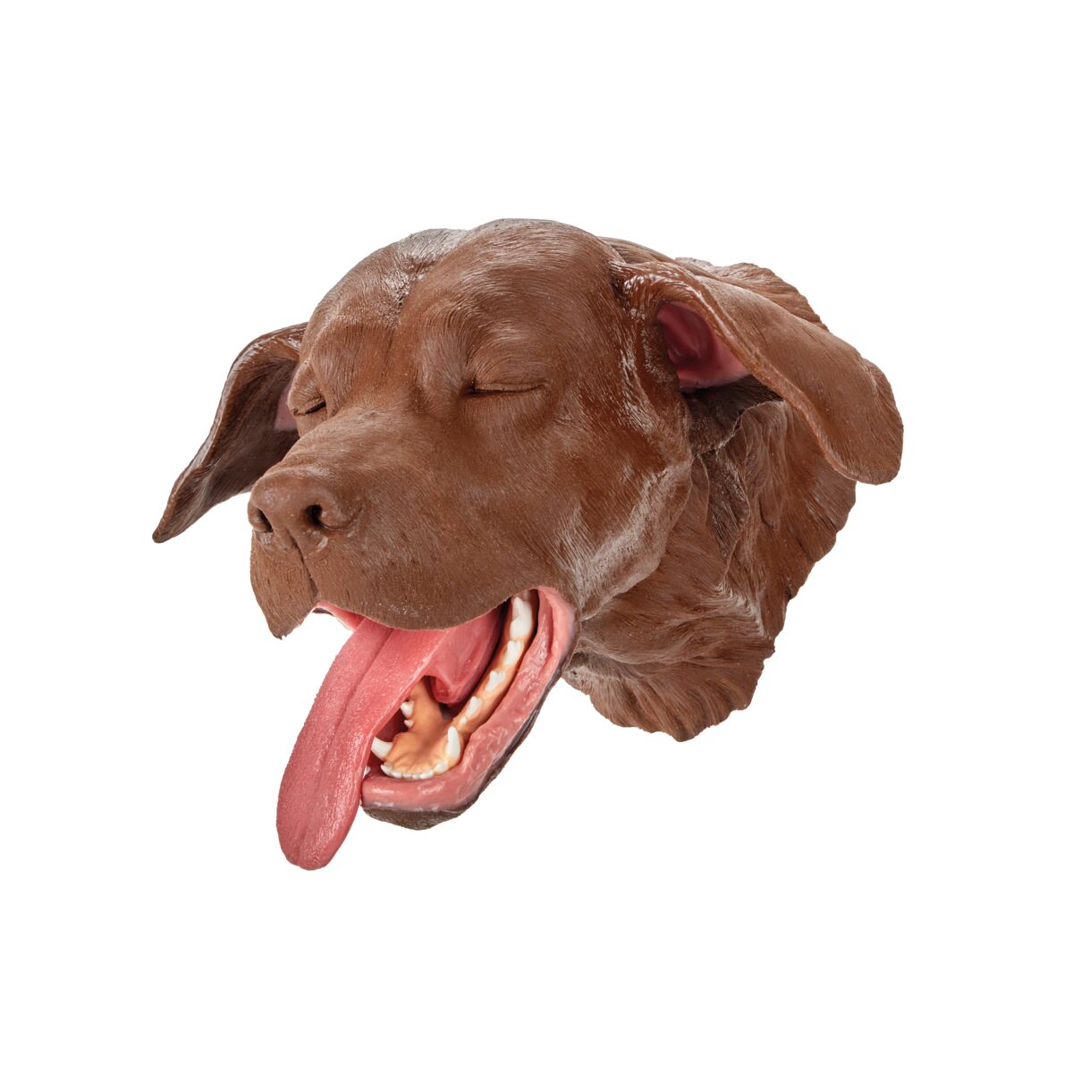 Replacement Dental Canine Head
