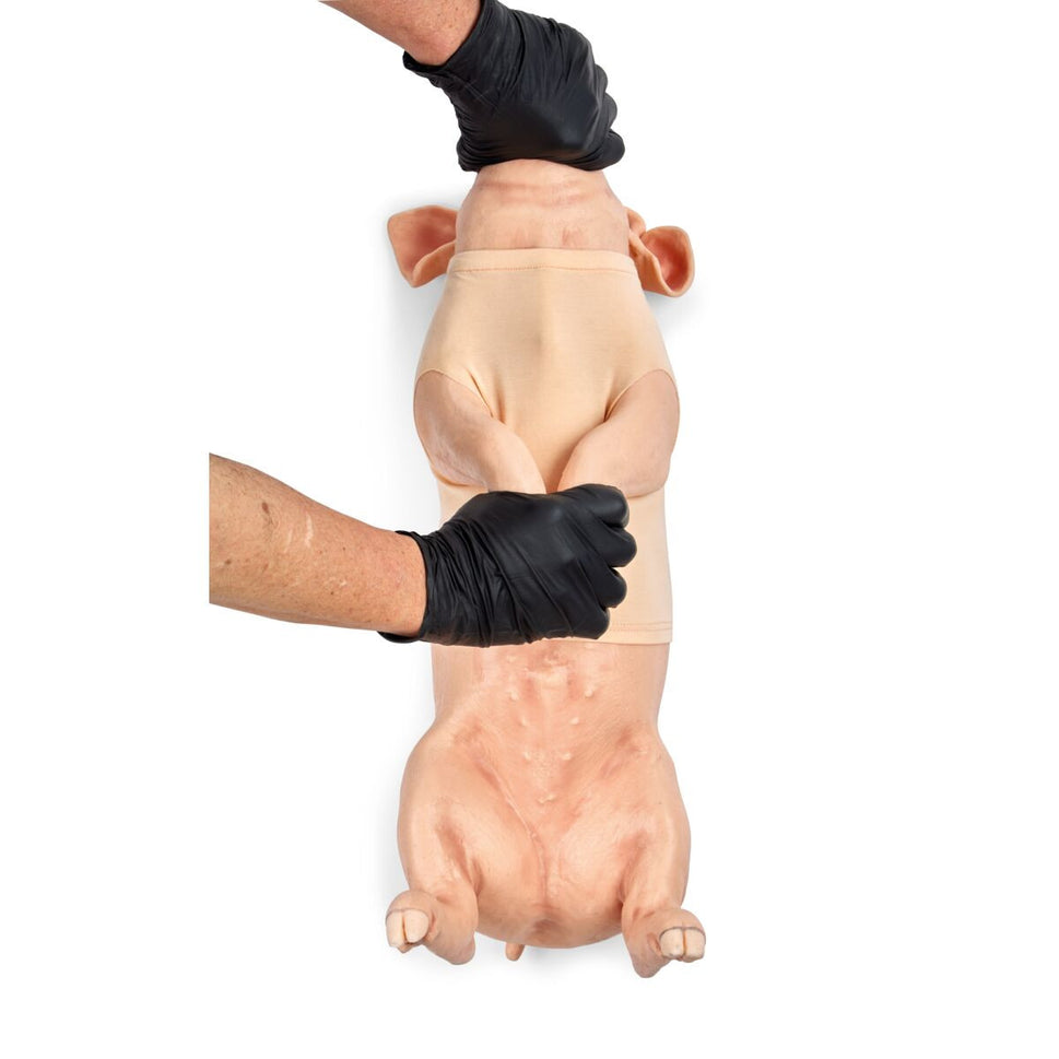 Piglet Restraint and Jugular Blood Draw Simulator