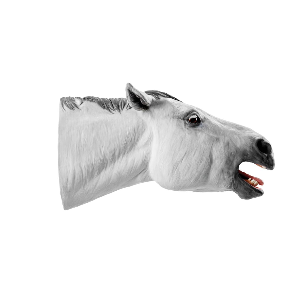 The Equine Dental Float Training Model
