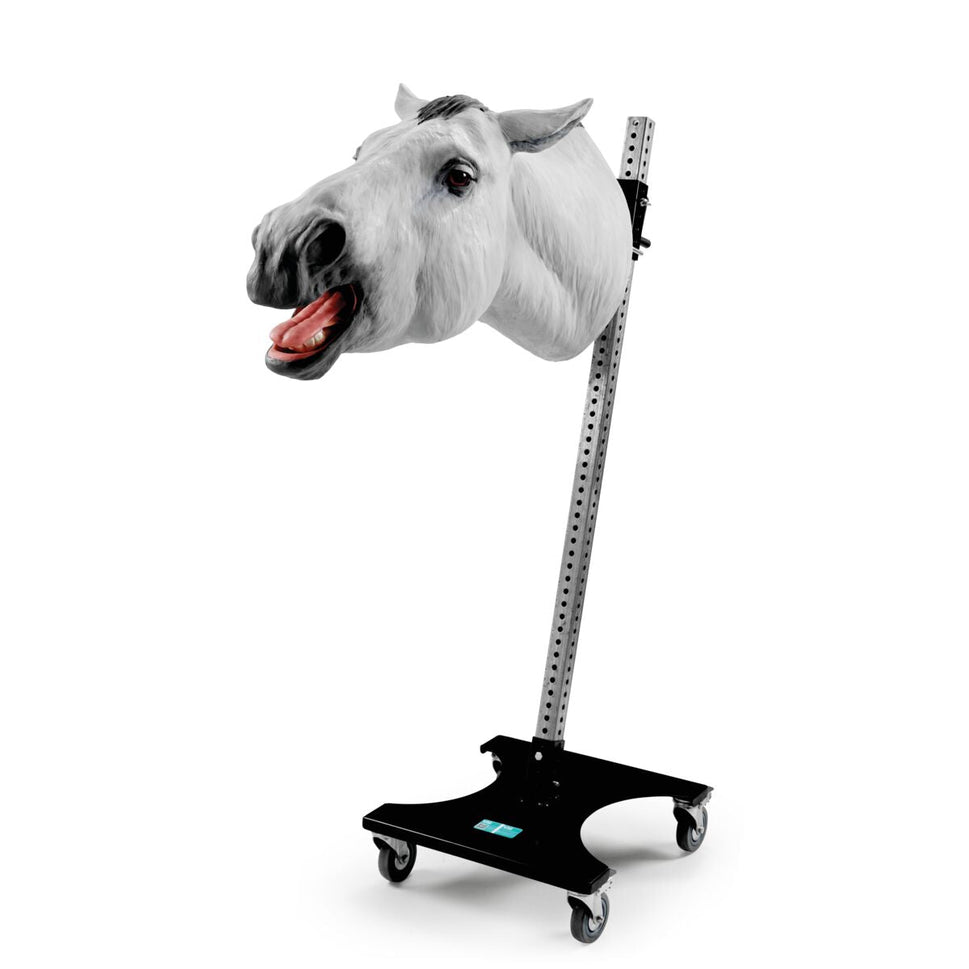 The Equine Dental Float Training Model