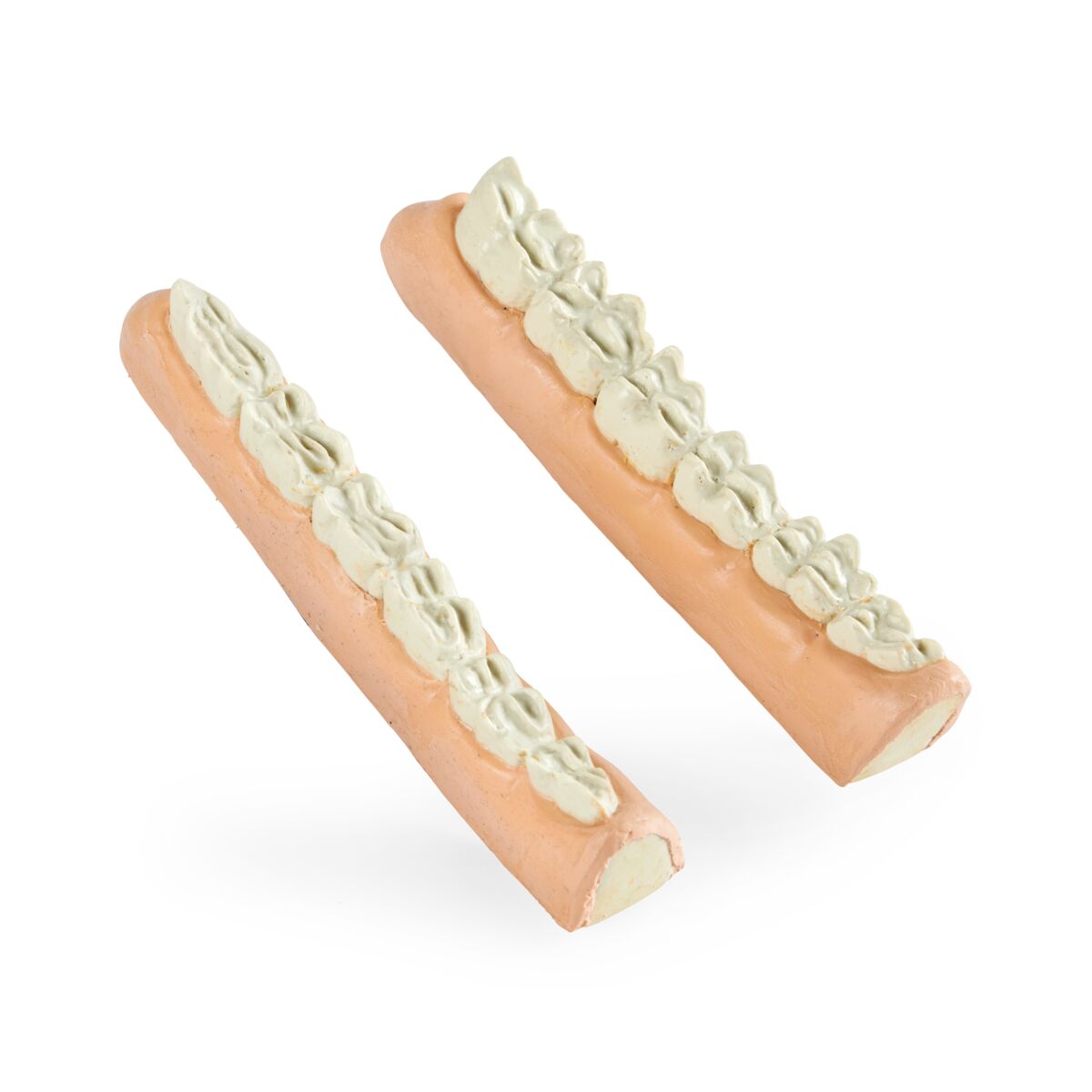 Equine Shear Mouth Jaw Set