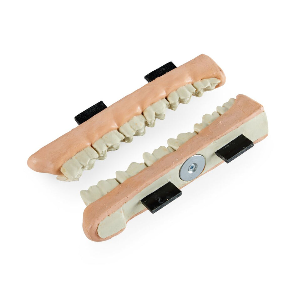 Equine Shear Mouth Jaw Set