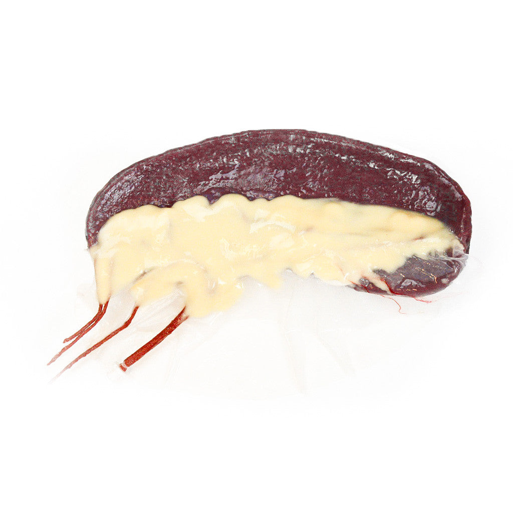 Spleen Model in the Canine Surgical Replacement Organ Pack