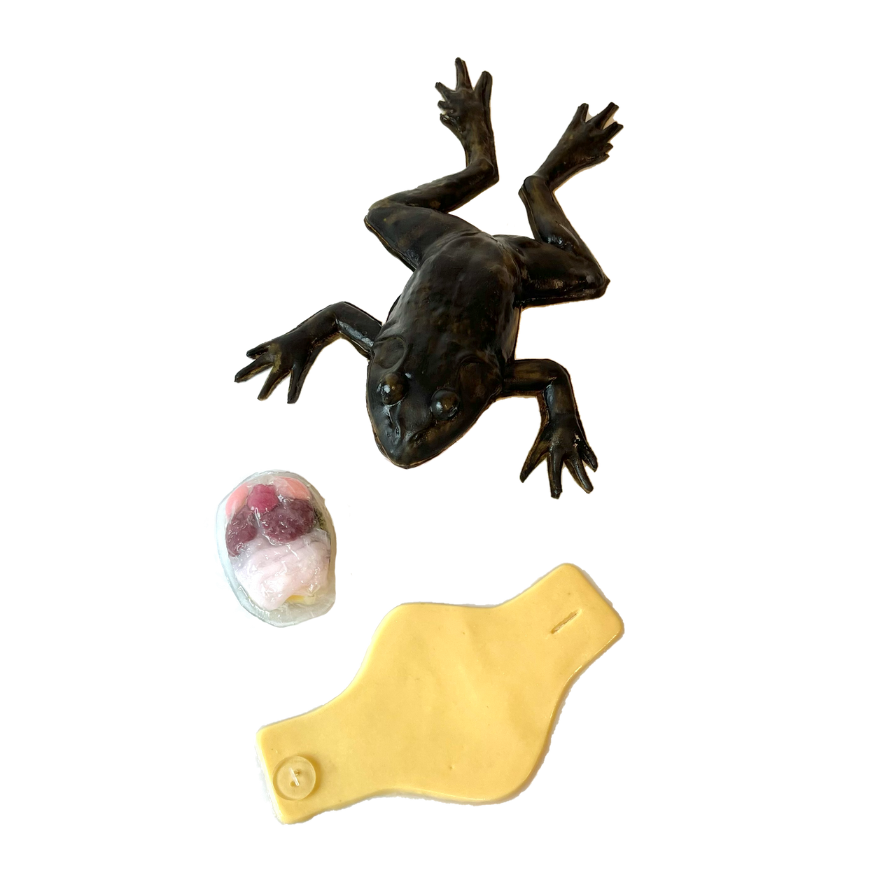 SynFrog Organ Replacement Pack (10 units)
