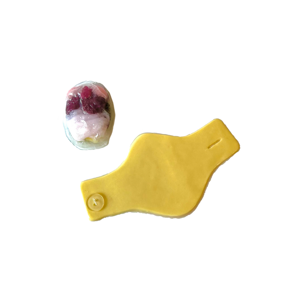 SynFrog Organ Replacement Pack (10 units)