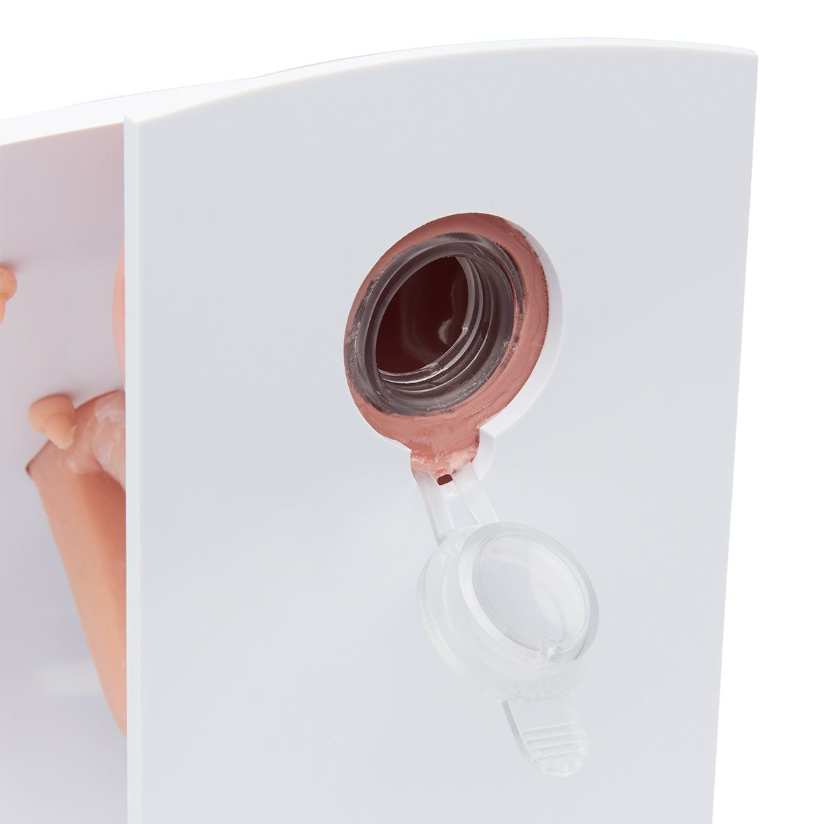 Male and Female Catheterisation Trainers Set