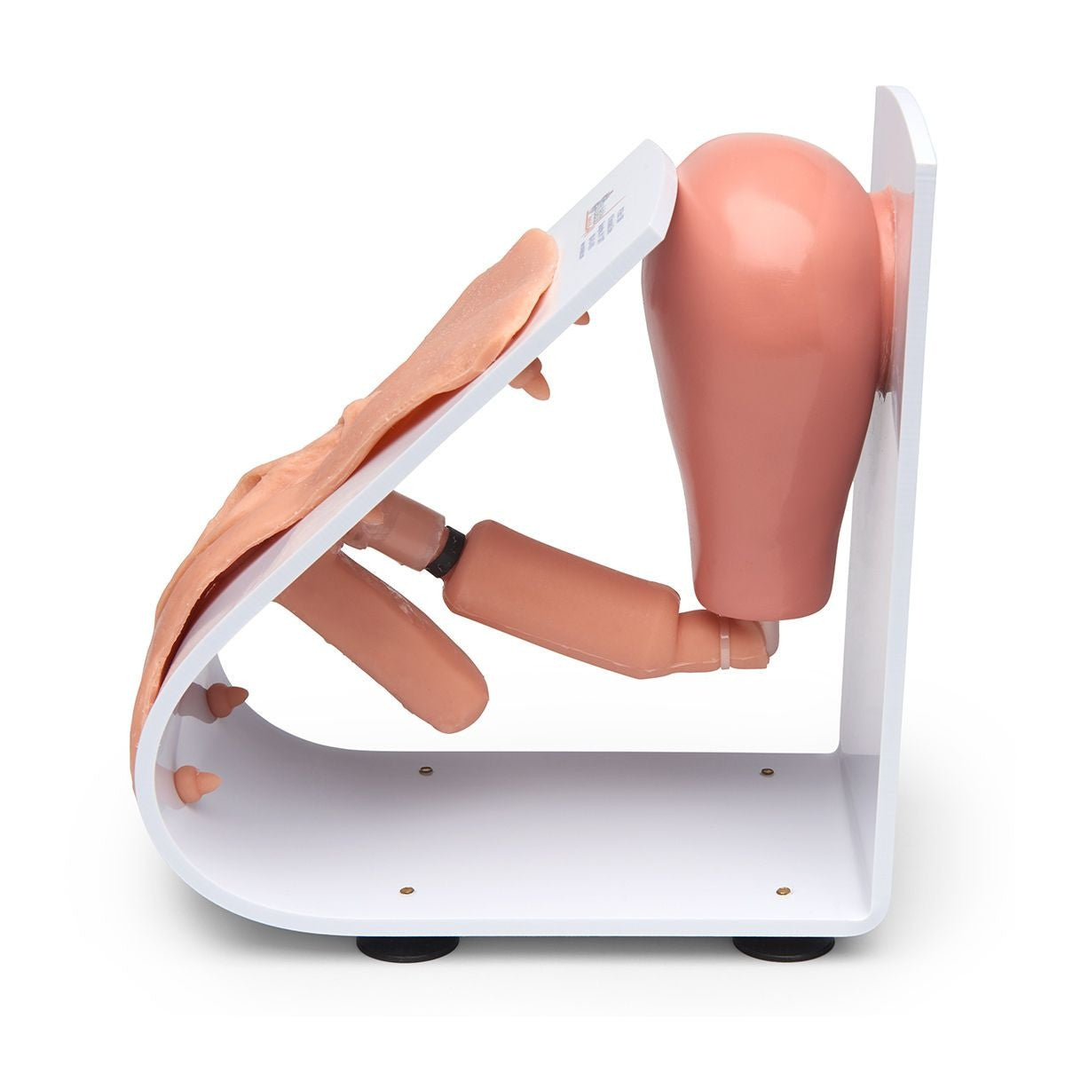 Male and Female Catheterisation Trainers Set