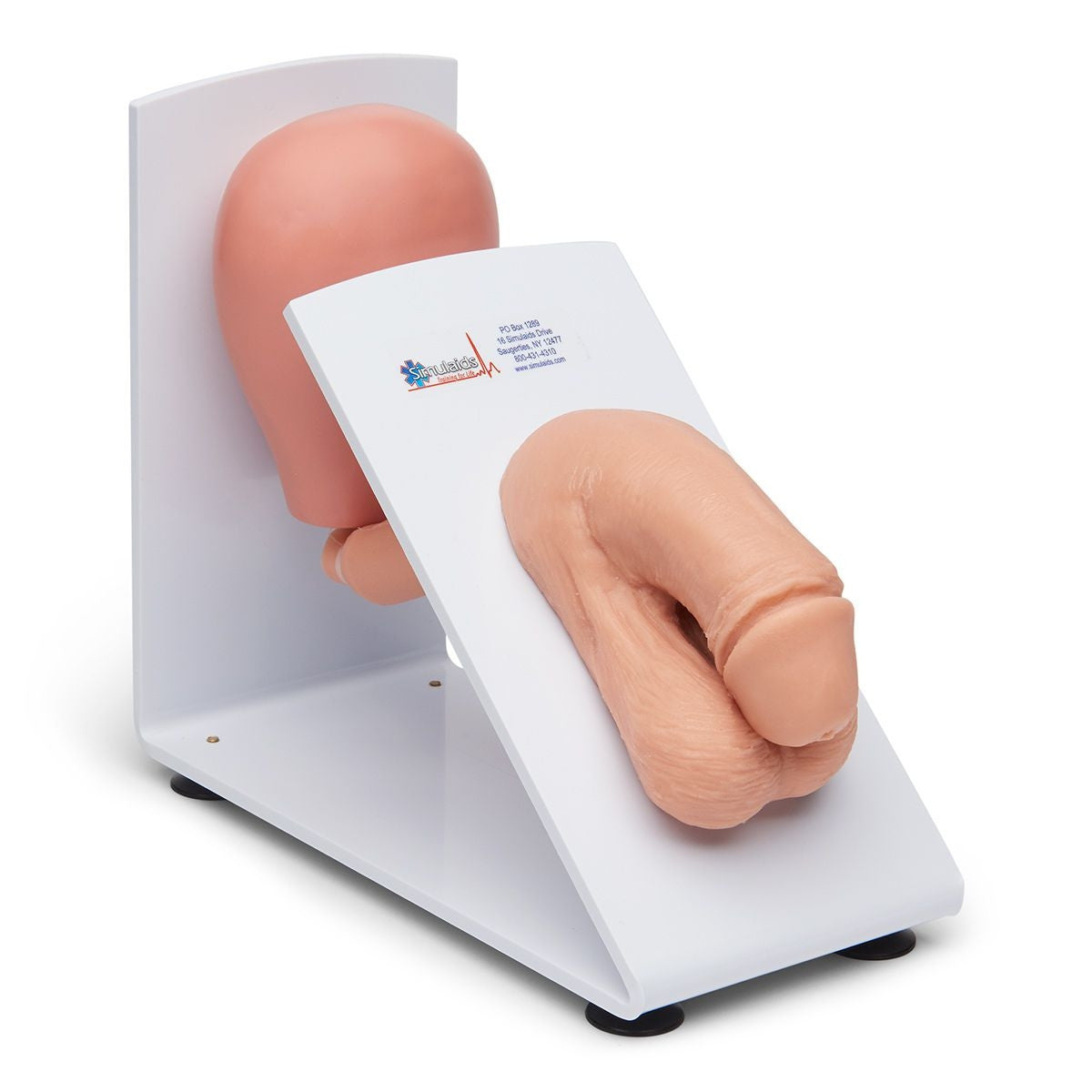 Male and Female Catheterisation Trainers Set