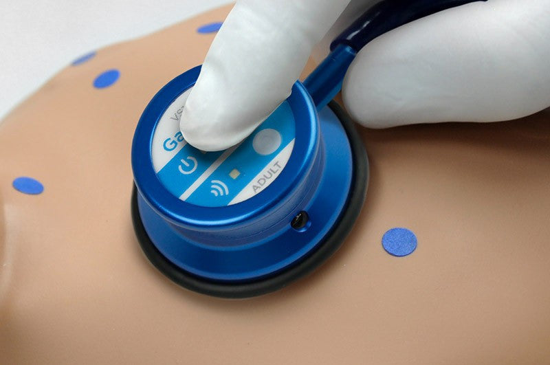 Heart and Lung Sounds Update Kit for Clinical CHLOE Advanced Nursing Care Patient Care Simulator