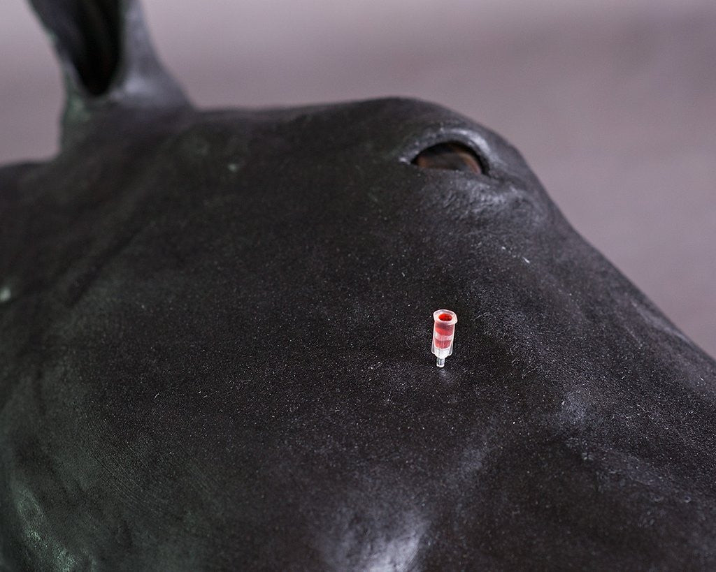 Advanced Equine Simulator