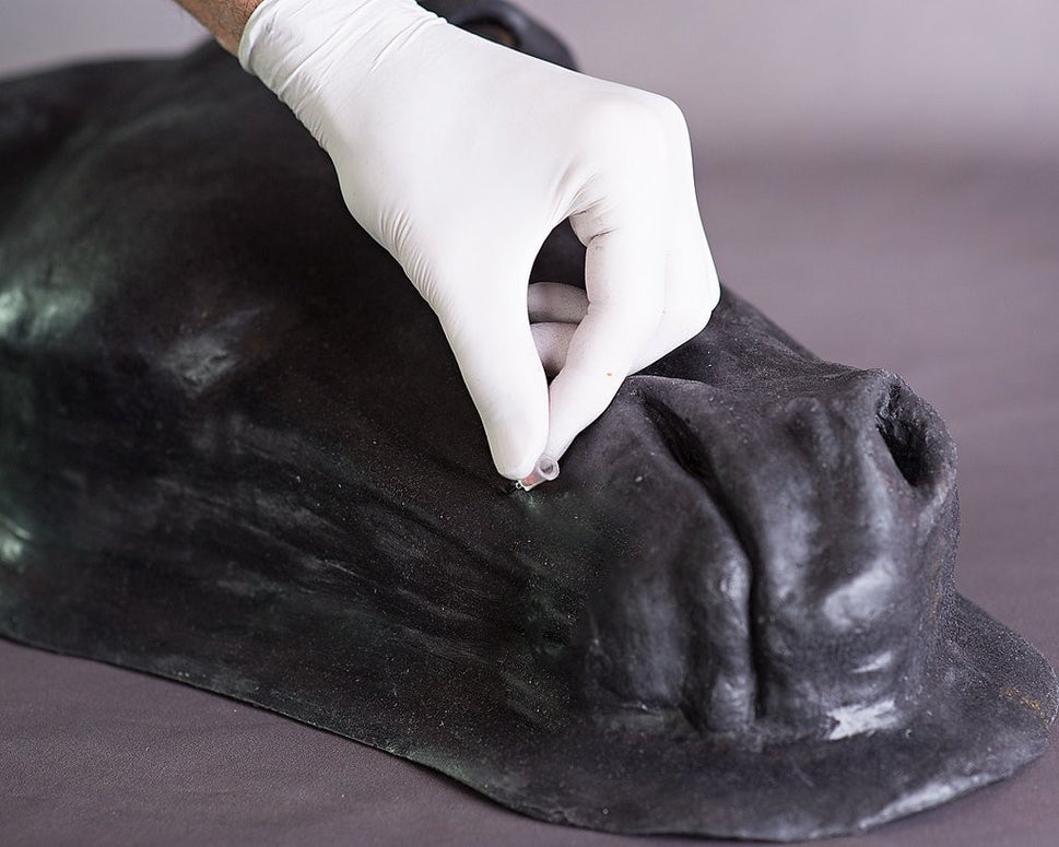 Advanced Equine Simulator