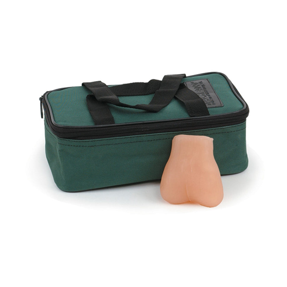 Testicular Self-Examination Model (2 lumps in 1 testicle)