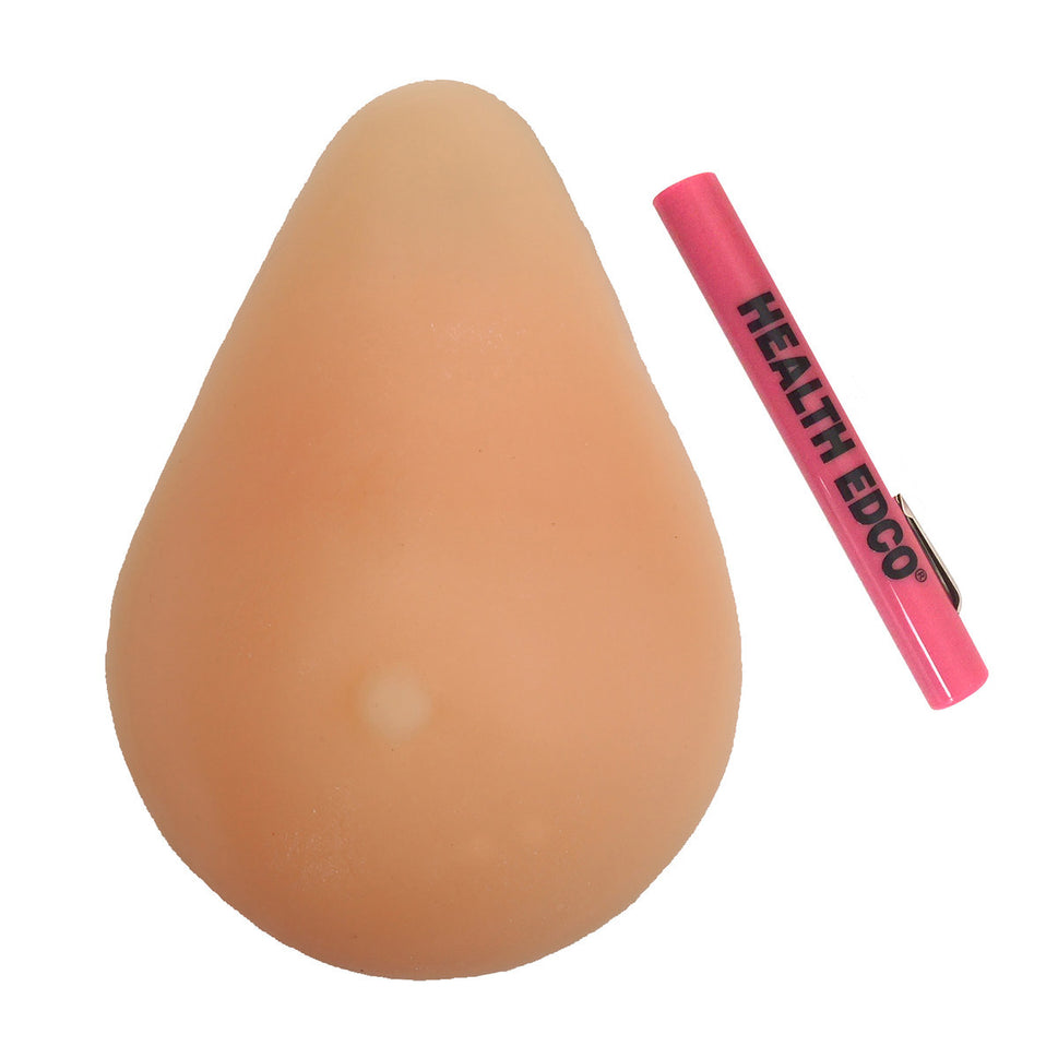 Breast Self Examination Model (BSE)