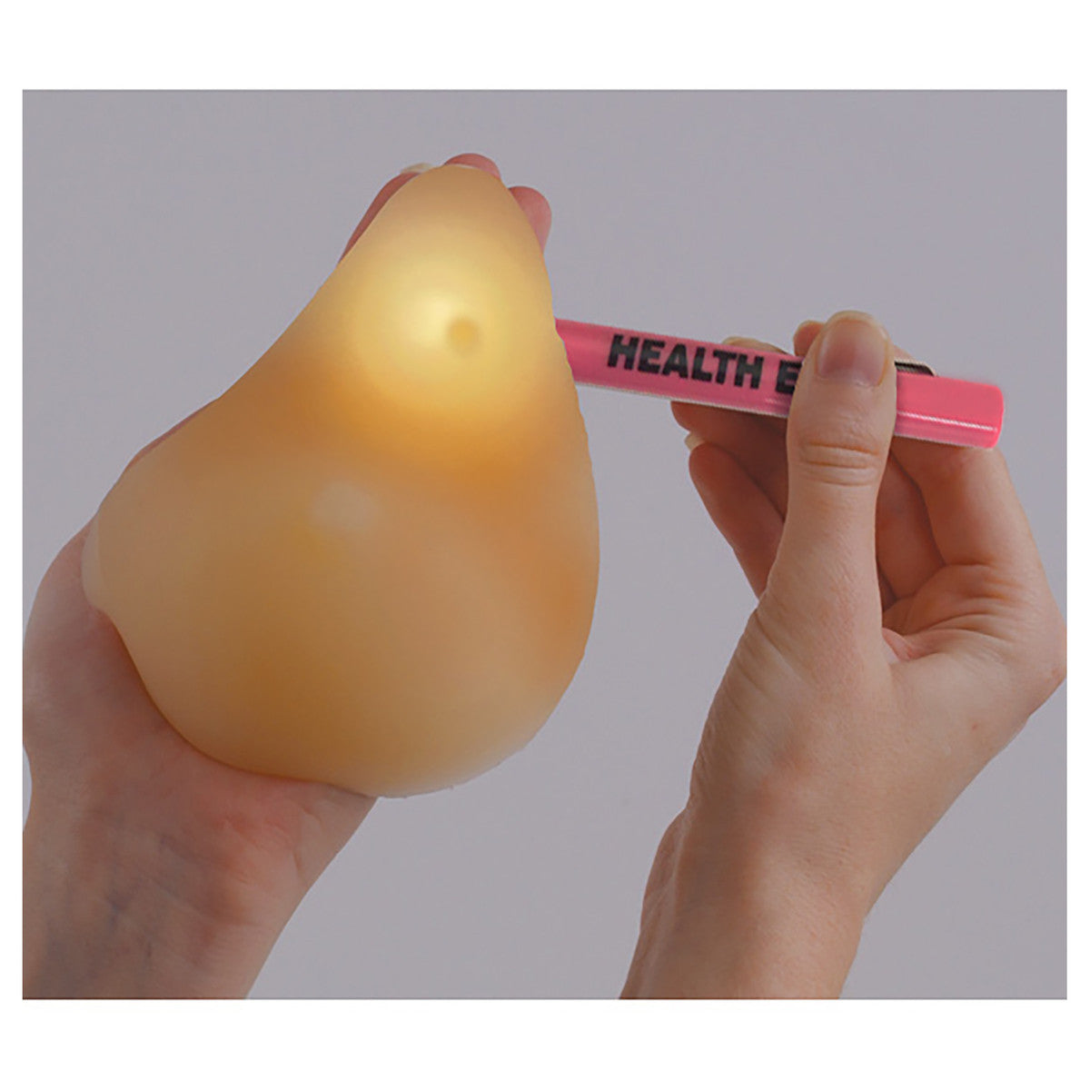 Each model features various lumps for realistic teaching