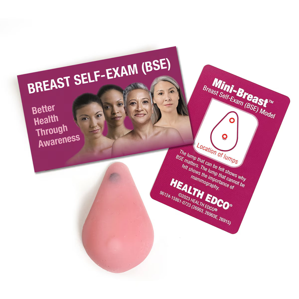 Mini Breast Model (Pack of 10)