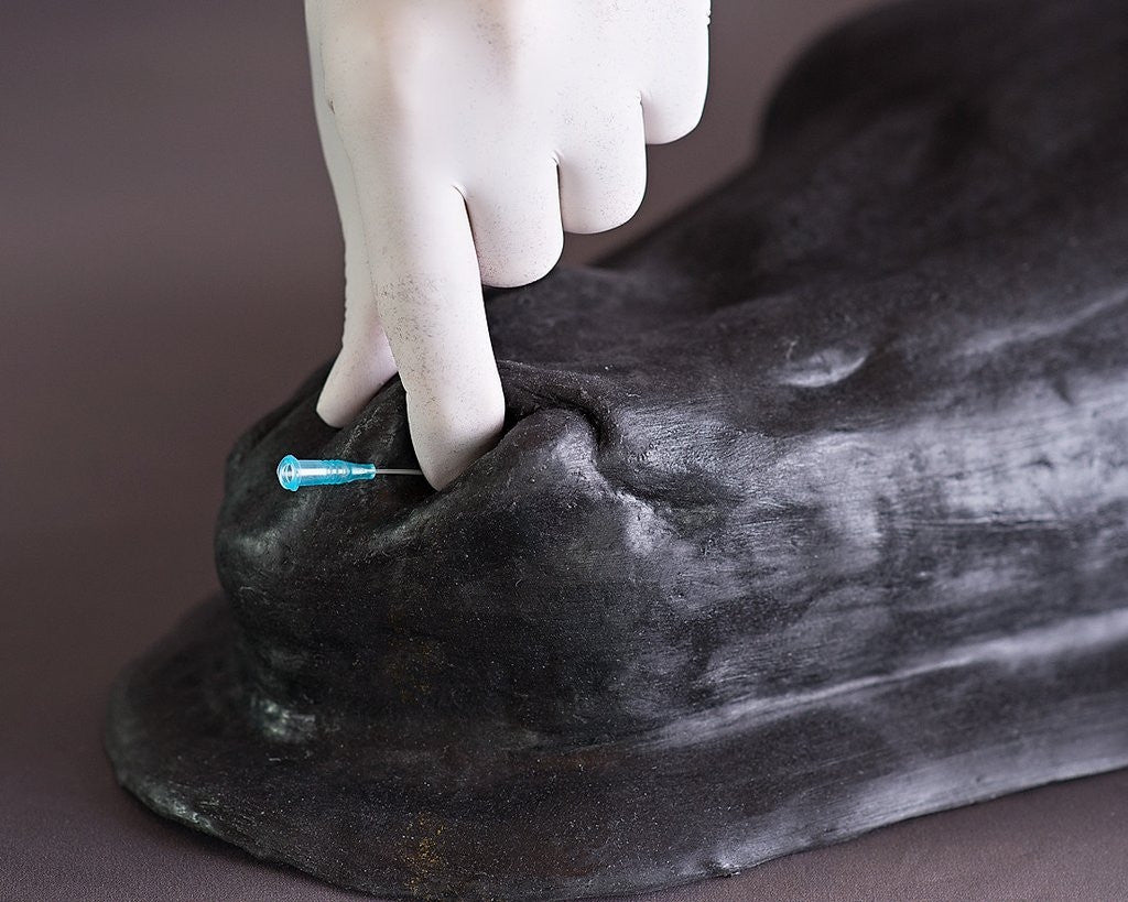 Advanced Equine Simulator