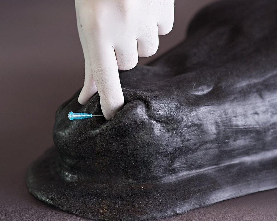 Advanced Equine Simulator