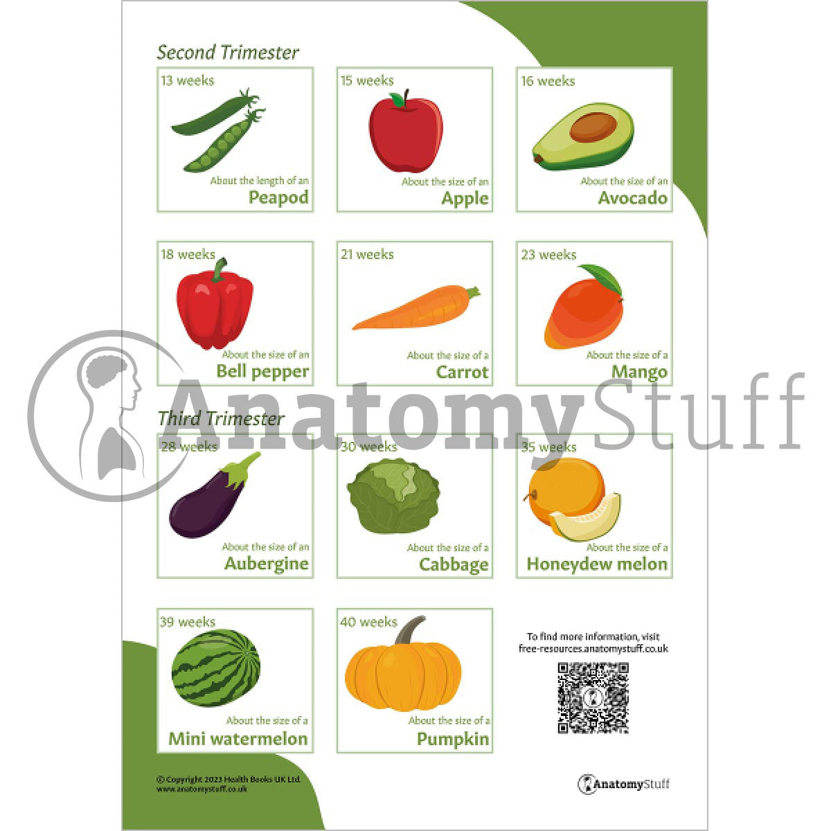 2nd and 3rd Trimester Comparison with Fruits and Vegetables