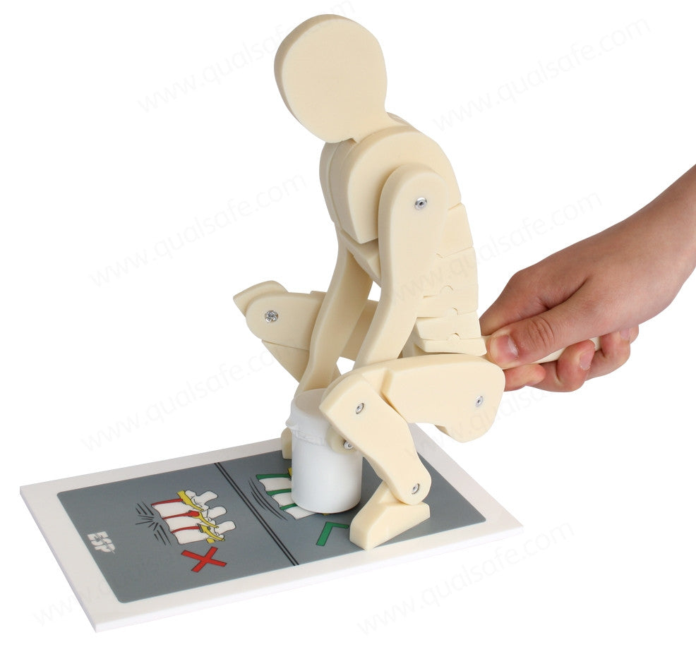 Anatomical Lifting Demonstration Model