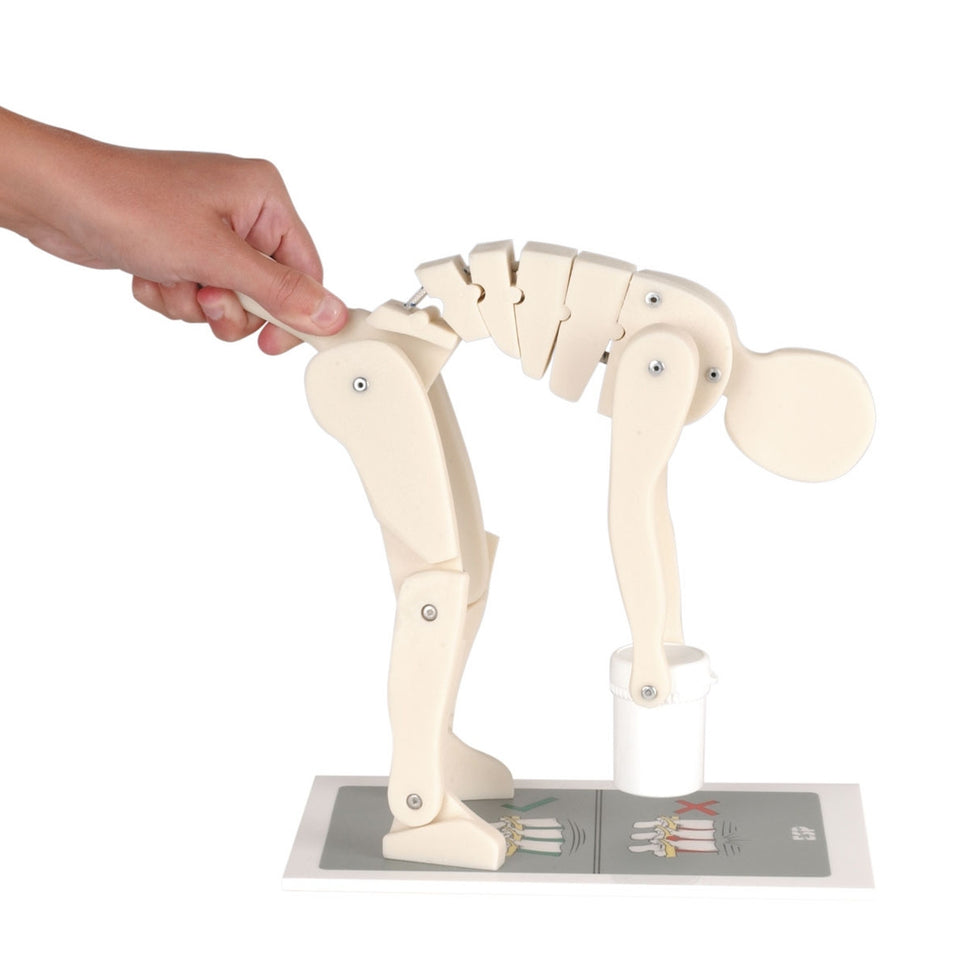 Intermediate Manual Handling Demonstration Kit