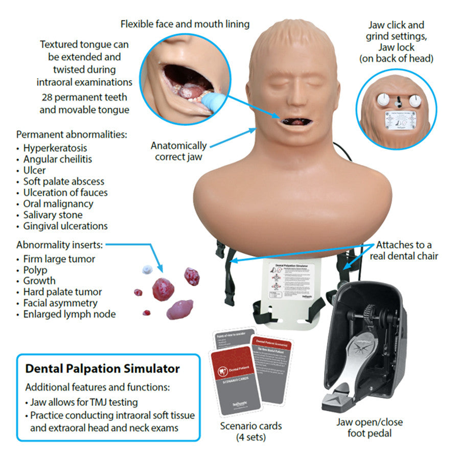 Dental Palpation Simulator