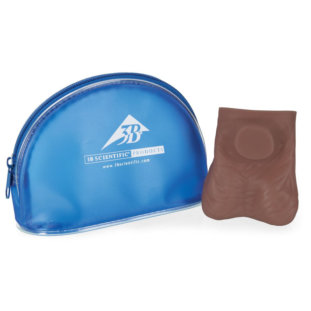 SKINlike Testicular Self Examination (TSE) Model