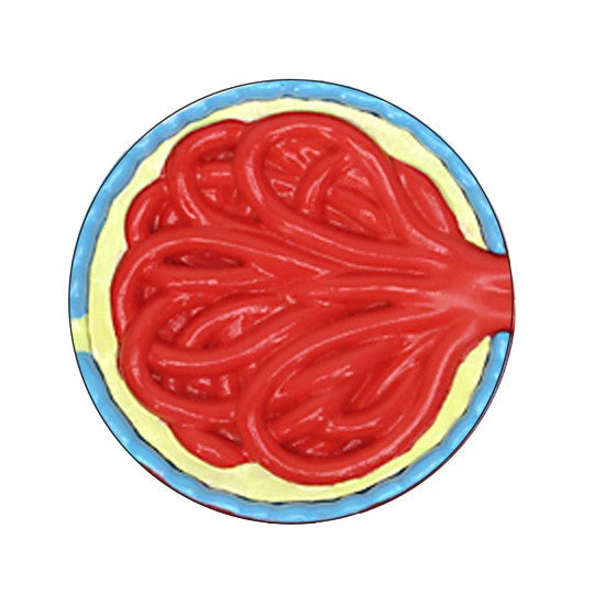 Diabetes Model (4 piece)