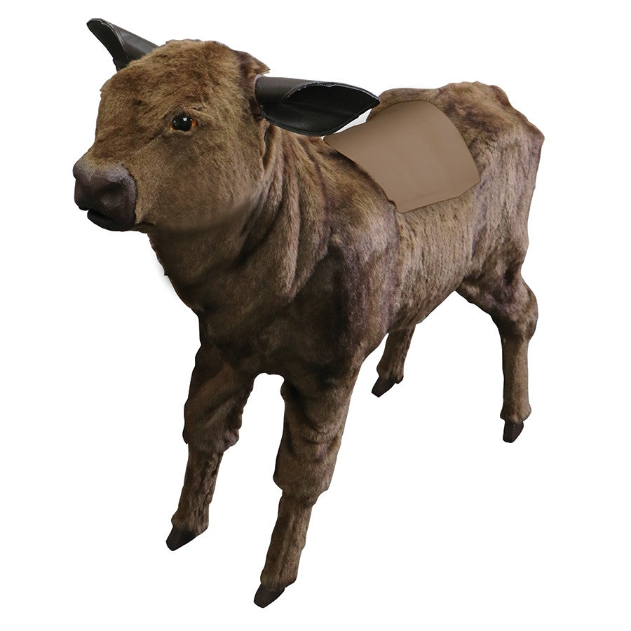 Calf Simulator
