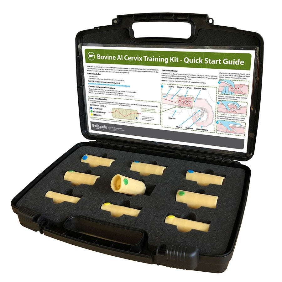 Bovine Artificial Insemination Cervix Training Kit