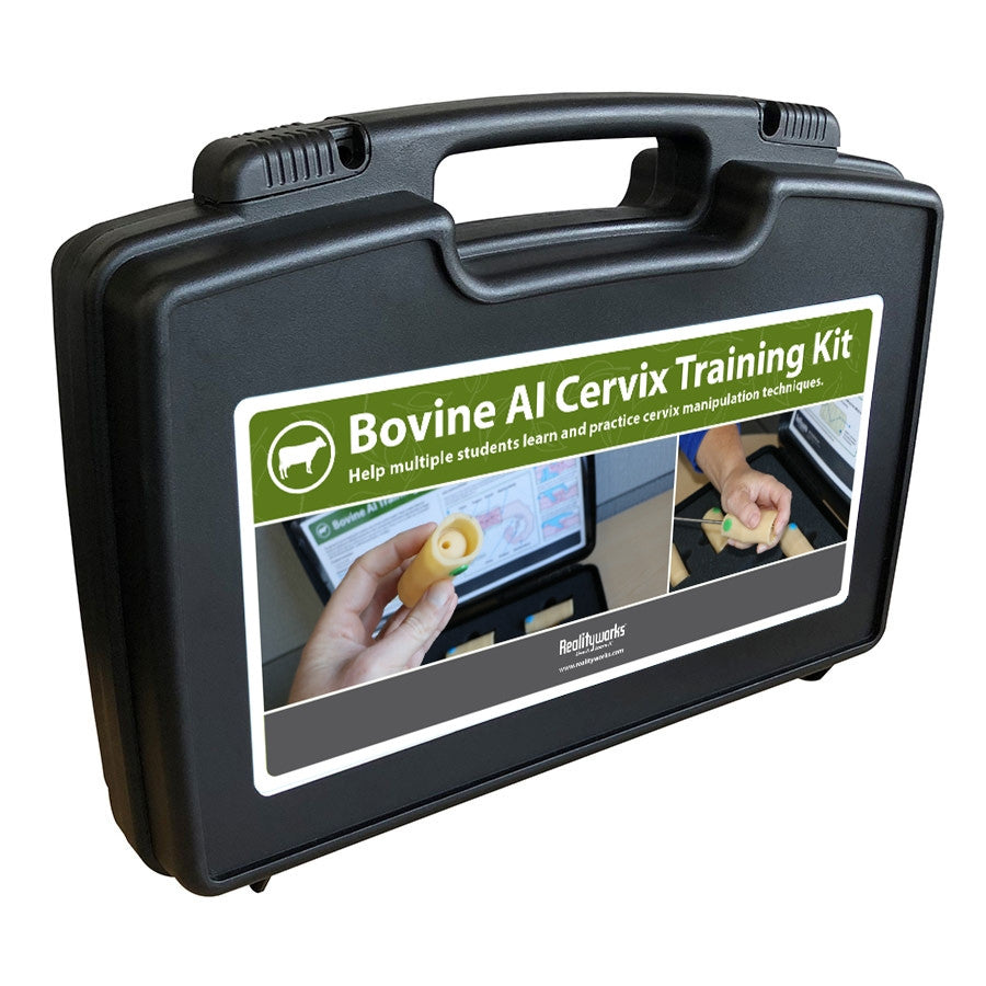 Bovine Artificial Insemination Cervix Training Kit