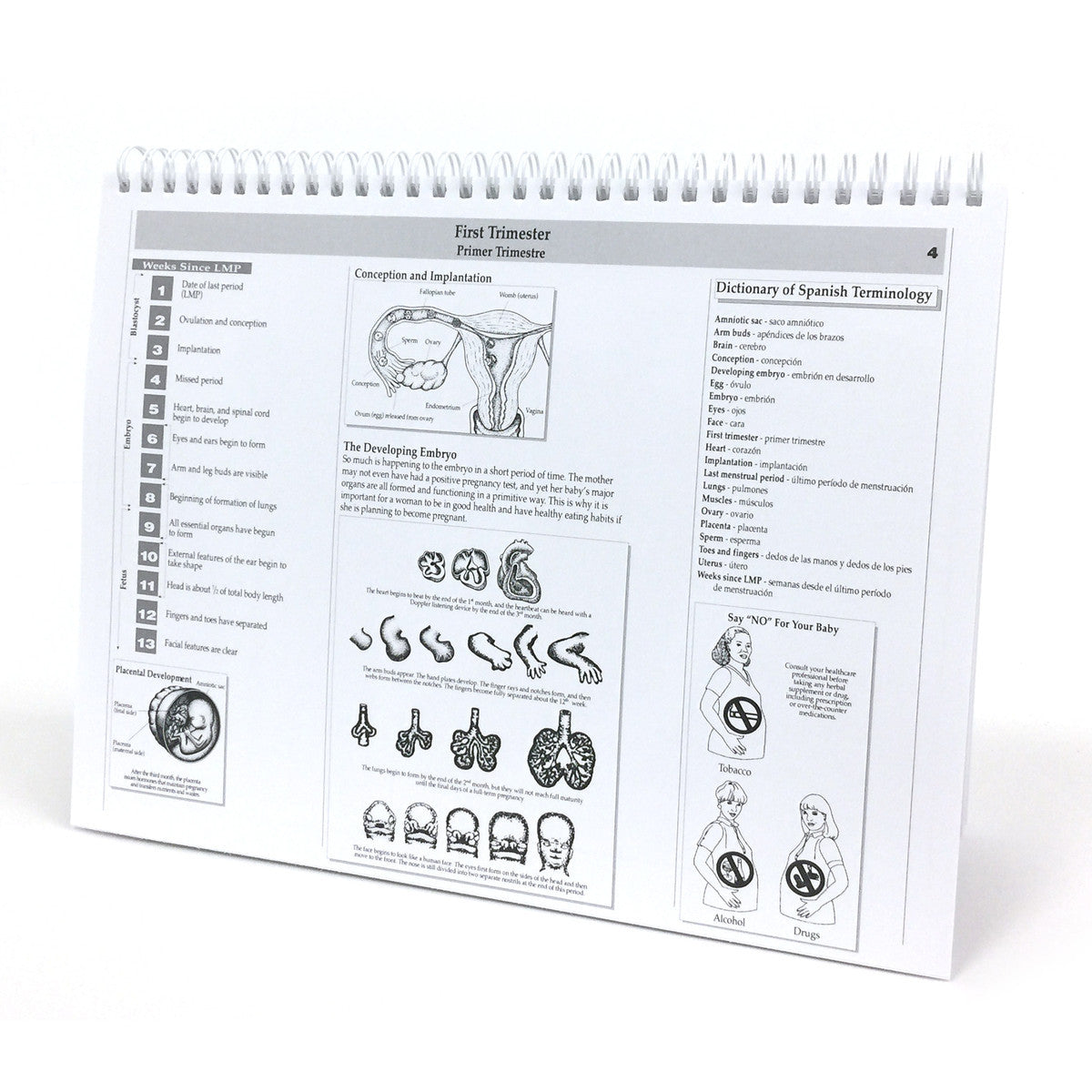 Childbearing: The Classic Series Desk-Size Flip Chart