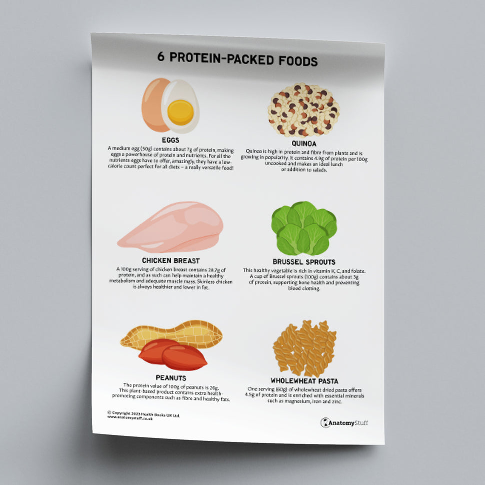 6 Protein-Packed Foods (Printable PDF)