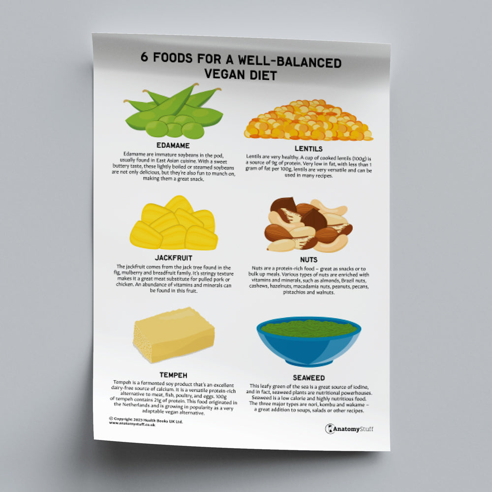 6 Foods for a Well-Balanced Vegan Diet (Printable PDF)