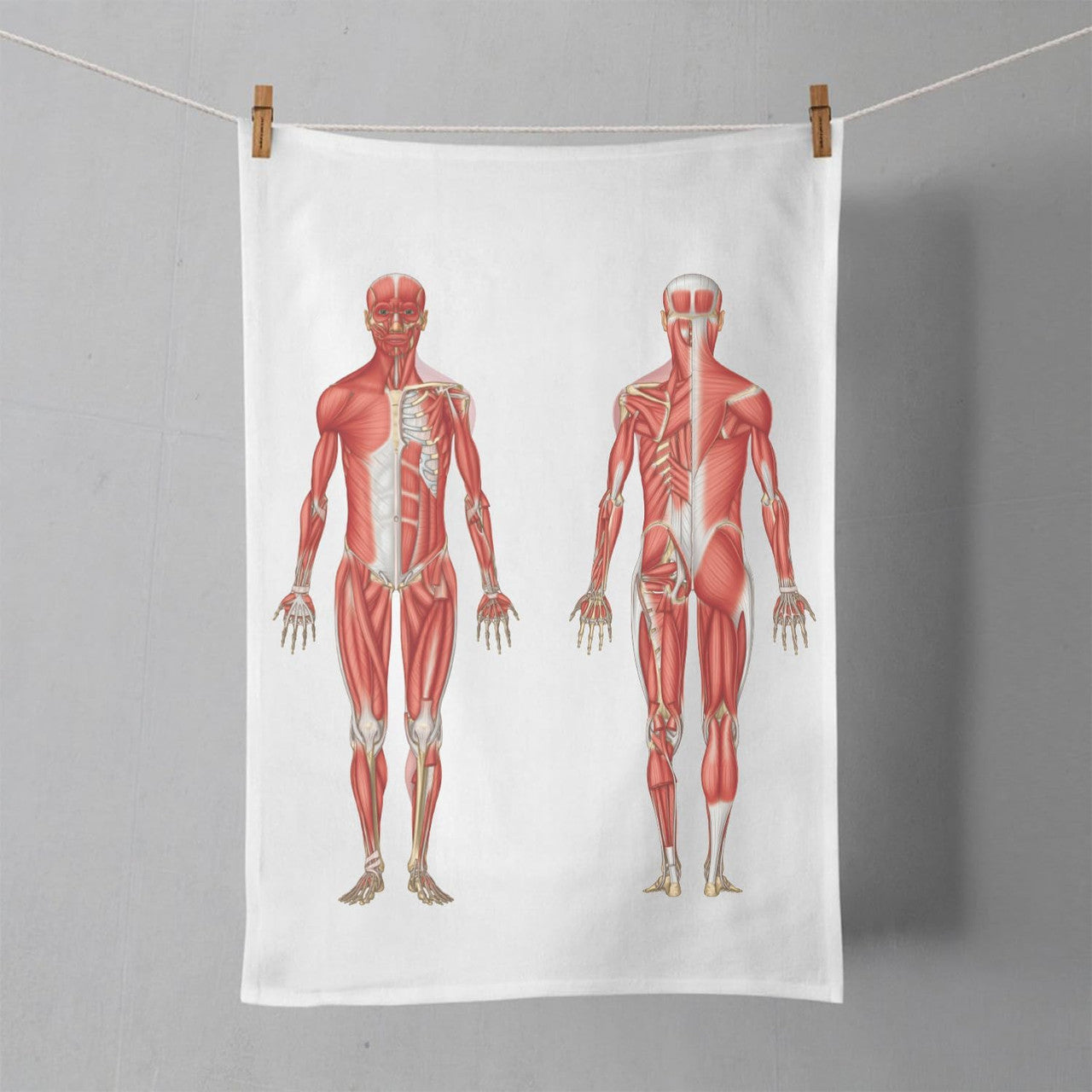 Muscular Anatomy Tea Towel