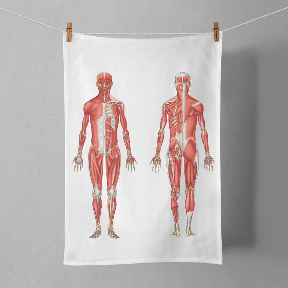 Muscular Anatomy Tea Towel