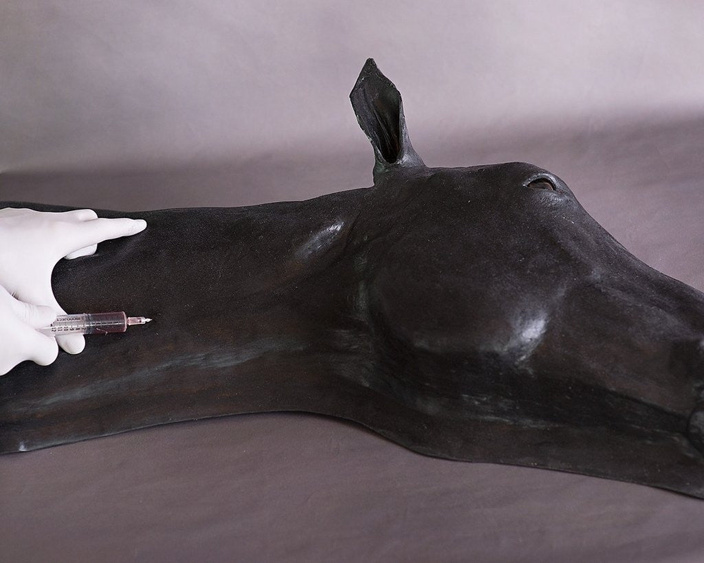 Advanced Equine Simulator