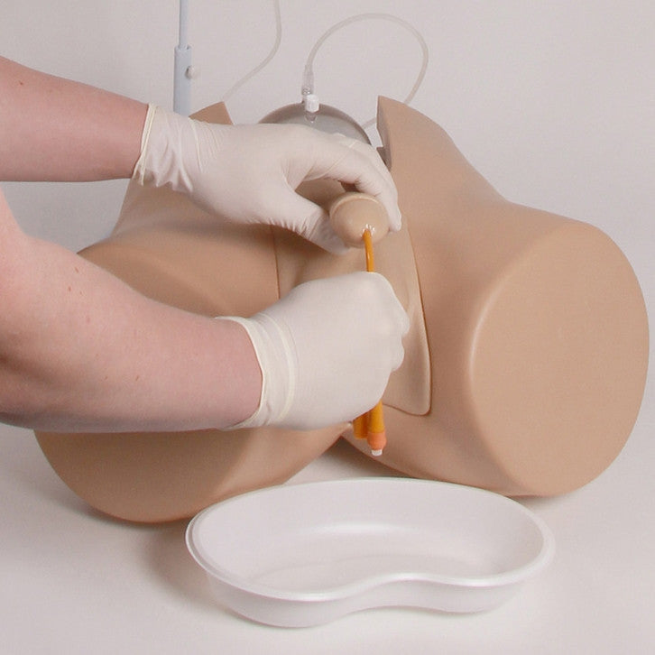 Male & Female Catheterisation Trainer Henri / Florence